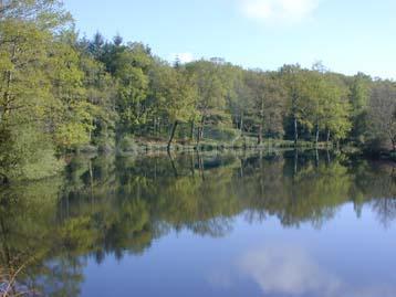 Campsite Le Touroulet