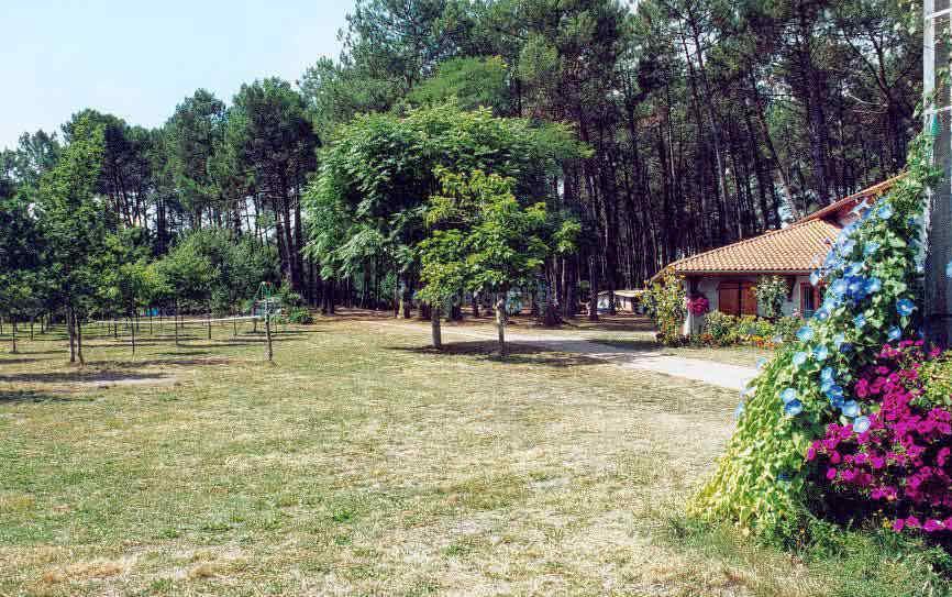 Campsite La Téouleyre