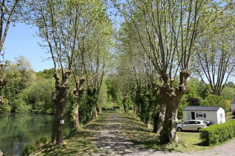 Campsite L'etang d'ardy