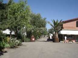 Campsite Navarrete