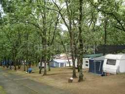 Campsite Carlos I