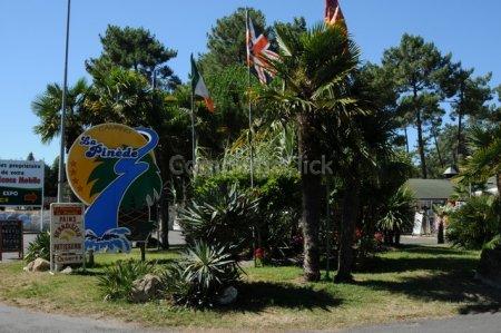 Campsite La Pinede