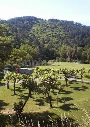 Campsite Municipal du Collet-de-dèze