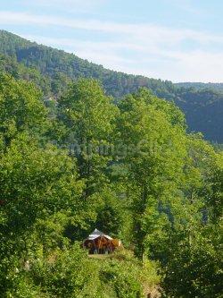 Campsite La Garde