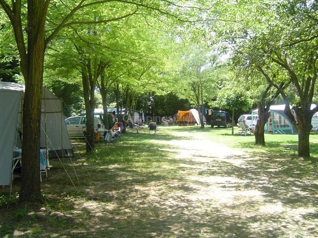 Campsite Les Oliviers