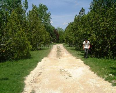 Campsite La Paillote