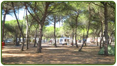 Campsite La Tamarissière