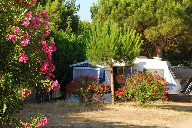 Campsite Mar Estang