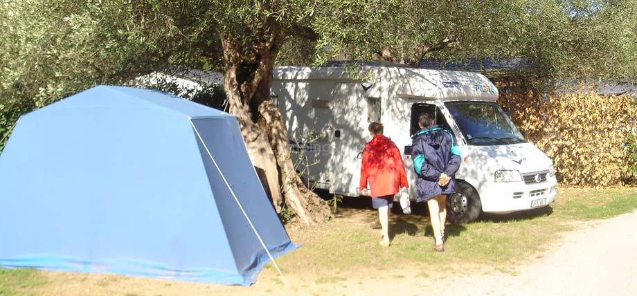 Campsite l'olivette