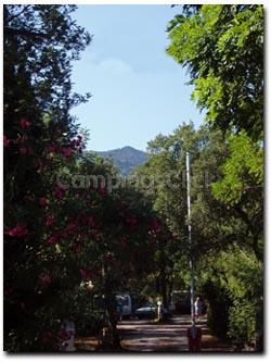 Campsite Las Planes