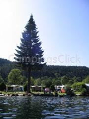 Campsite Les Jonquilles